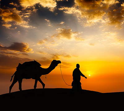 香港精准一码资料