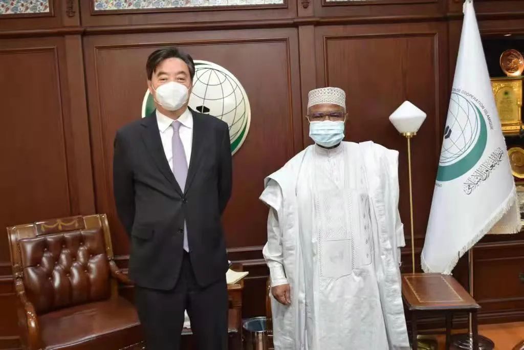 伊斯兰合作组织秘书长塔哈会见翟隽特使